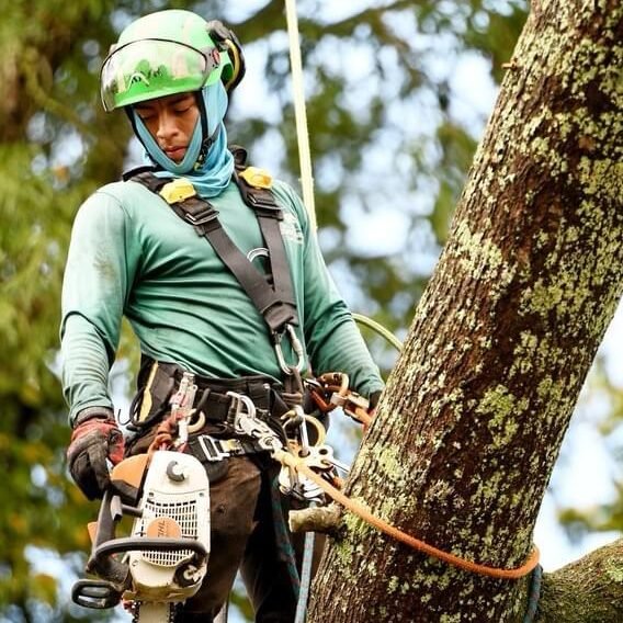 484141782_1089259266338890_5808282663797197177_n