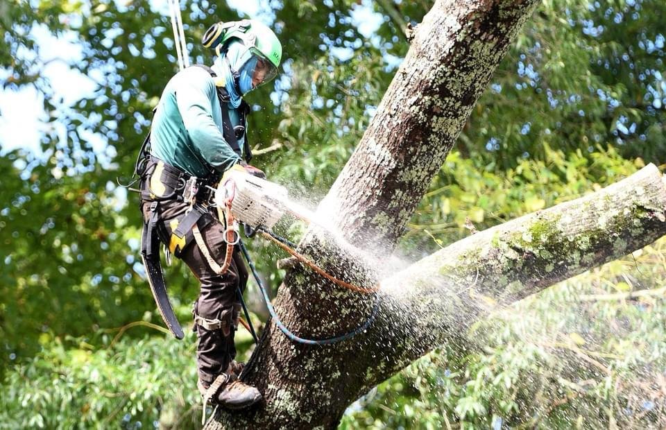 484164991_1089259733005510_7496984005337043124_n