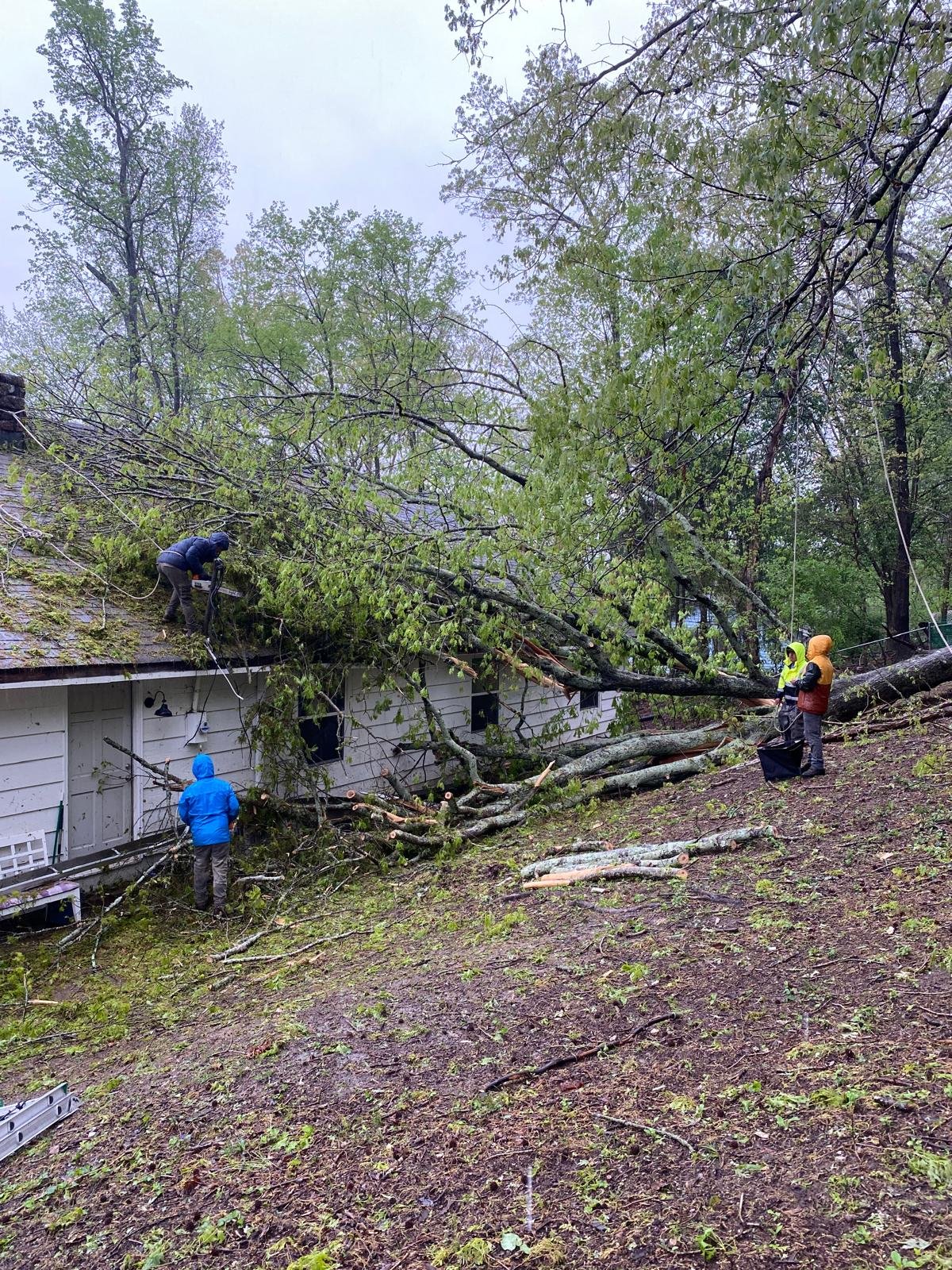 b3a57743-0f09-4839-9b3e-4d1ce248df33