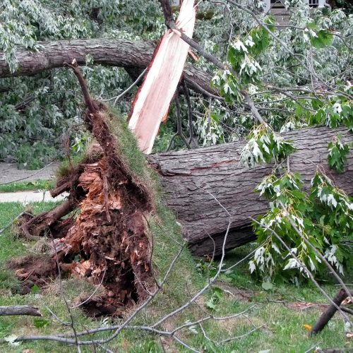 strong wind storm damage in Midwest neighborhood